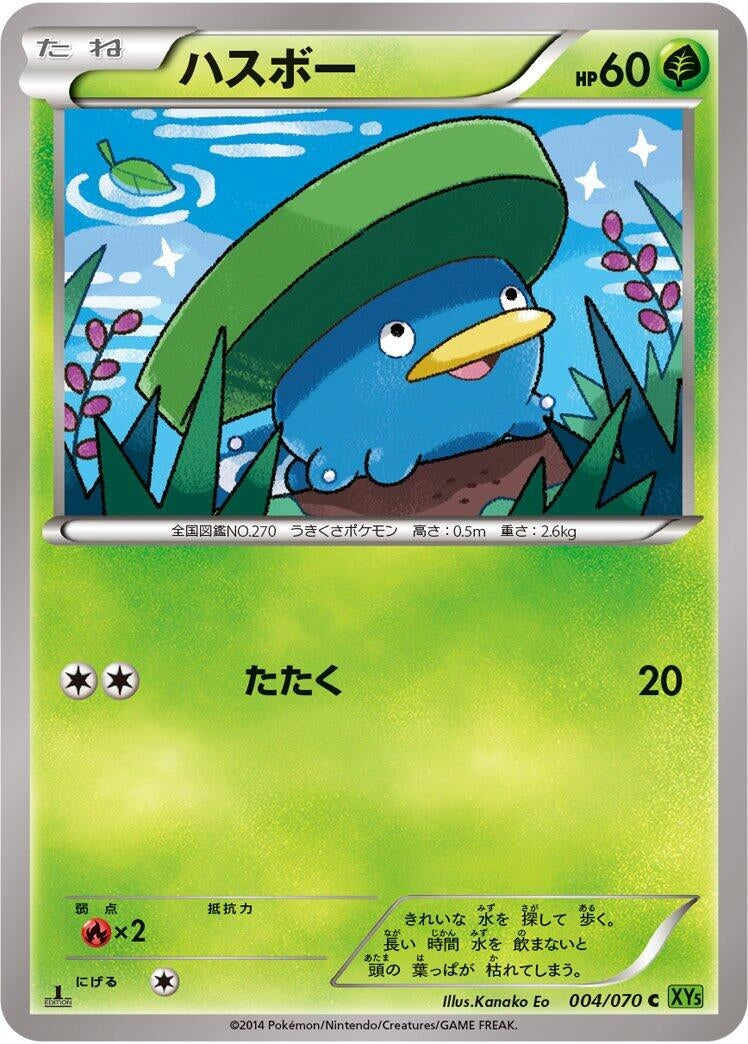 Image for Lotad (004/070) (XY5-Bt: Tidal Storm) - Pokemon Japan
