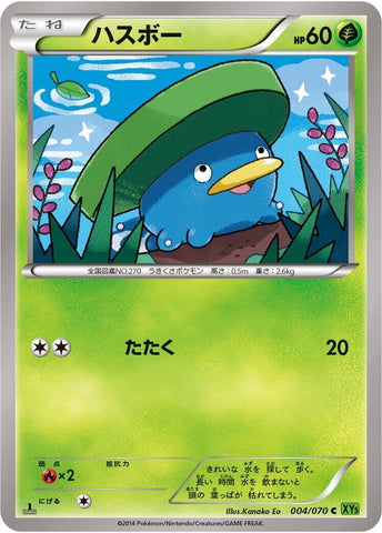 Image for Lotad (004/070) (XY5-Bt: Tidal Storm) - Pokemon Japan
