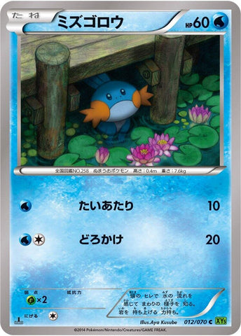 Image for Mudkip (012/070) (XY5-Bt: Tidal Storm) - Pokemon Japan