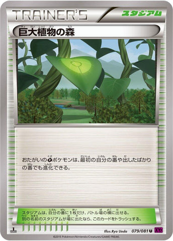 Image for Forest of Giant Plants (079/081) (XY7: Bandit Ring) - Pokemon Japan