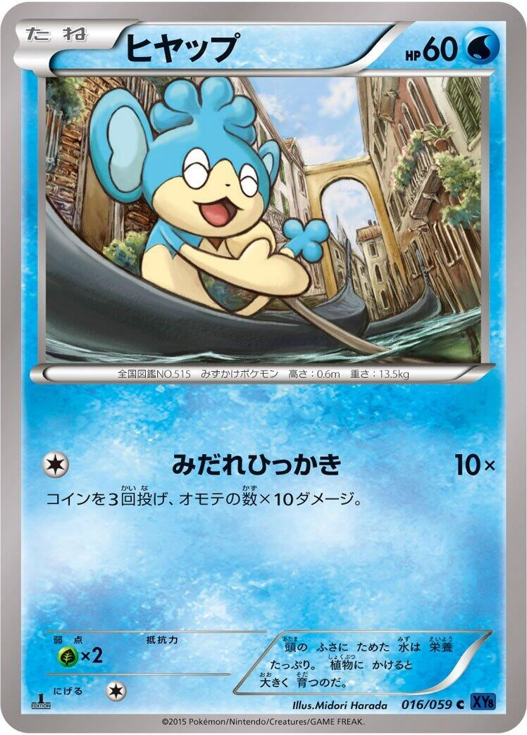 Image for Panpour (016/059) (XY8-Bb: Blue Shock) - Pokemon Japan