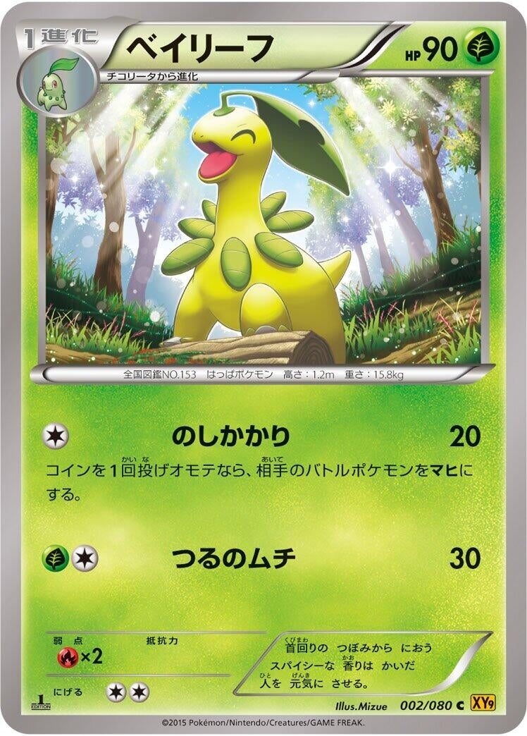 Image for Bayleef (002/080) (XY9: Rage of the Broken Heavens) - Pokemon Japan