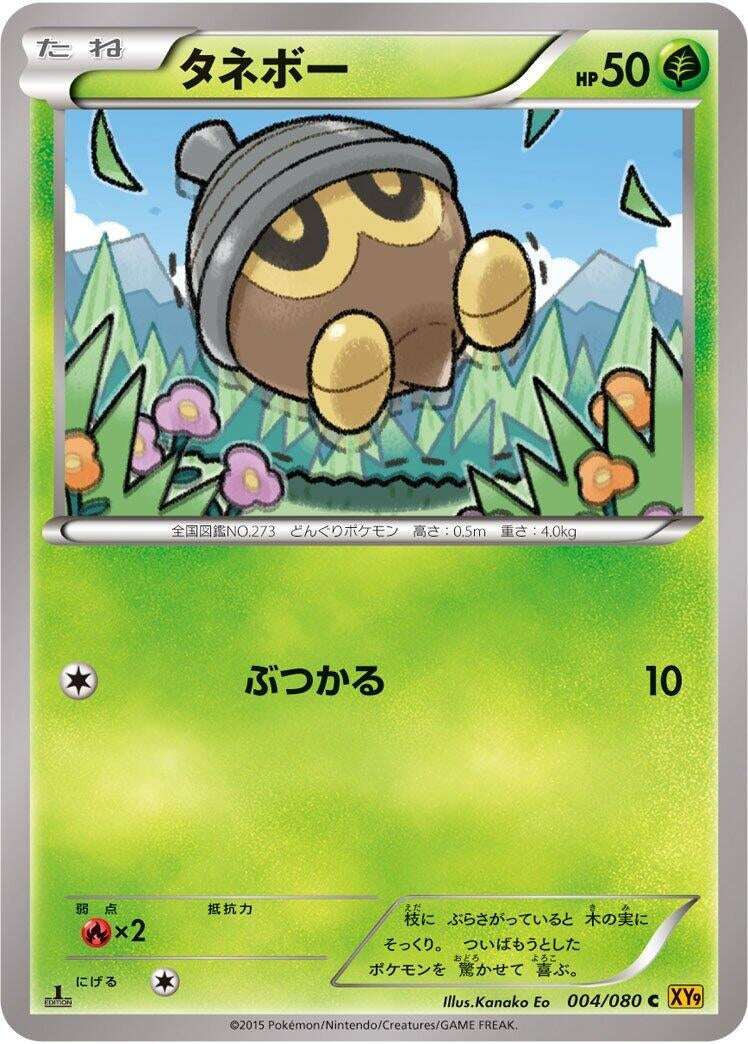 Image for Seedot (004/080) (XY9: Rage of the Broken Heavens) - Pokemon Japan