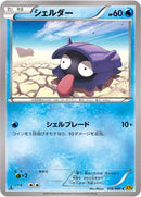 Image for Shellder (016/080) (XY9: Rage of the Broken Heavens) - Pokemon Japan