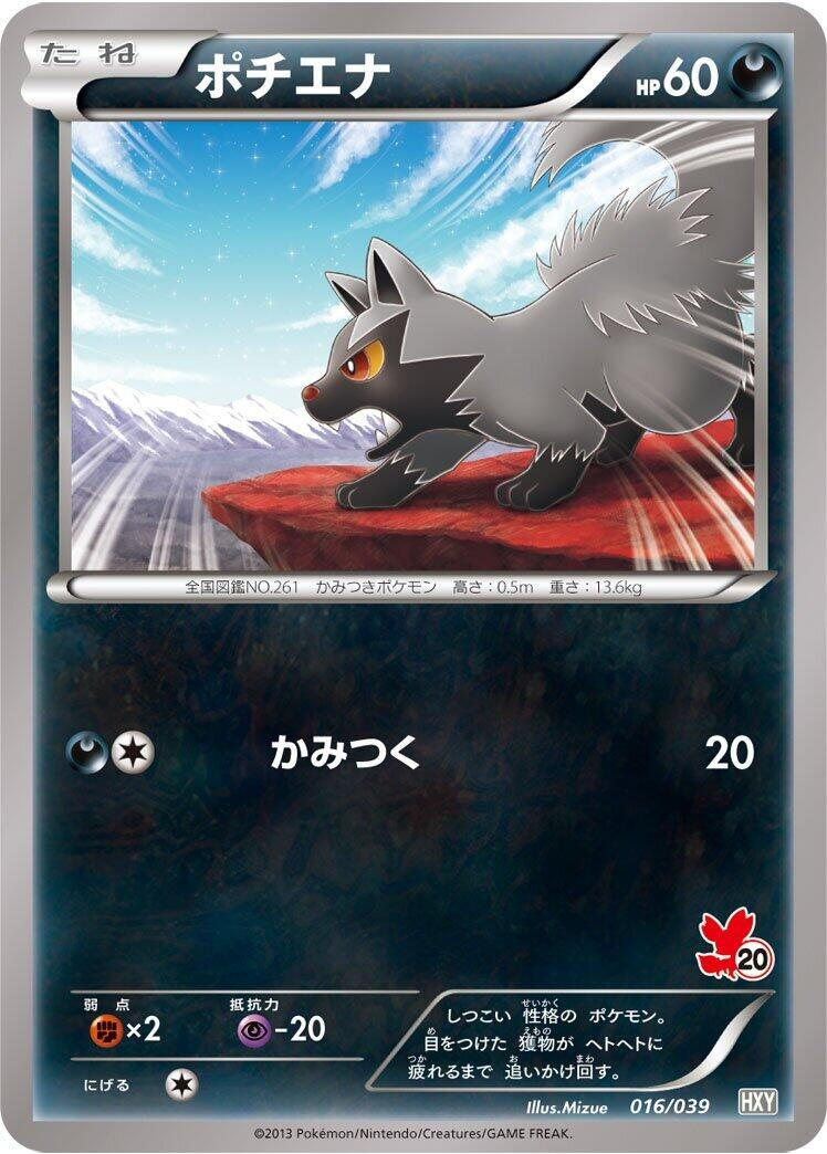 Image for Poochyena (016/039) (XY Beginning Set) - Pokemon Japan