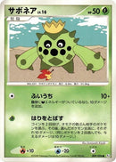 Image for Cacnea (009/096) (Pt1: Galactic's Conquest) (Pt1) - Pokemon Japan