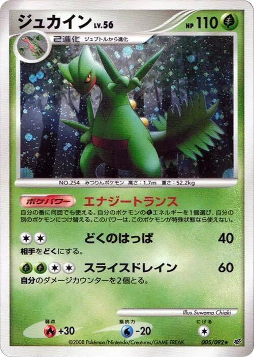 Image for Sceptile (005/092) (Intense Fight in the Destroyed Sky) - Pokemon Japan