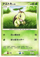 Image for Turtwig - 005/DP-P (005/DP-P) (DP-P Promotional cards) - Pokemon Japan