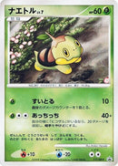 Image for Turtwig - 117/DP-P (117/DP-P) (DP-P Promotional cards) - Pokemon Japan