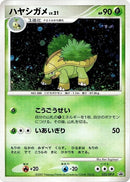 Image for Grotle - 052/DP-P (052/DP-P) (DP-P Promotional cards) - Pokemon Japan