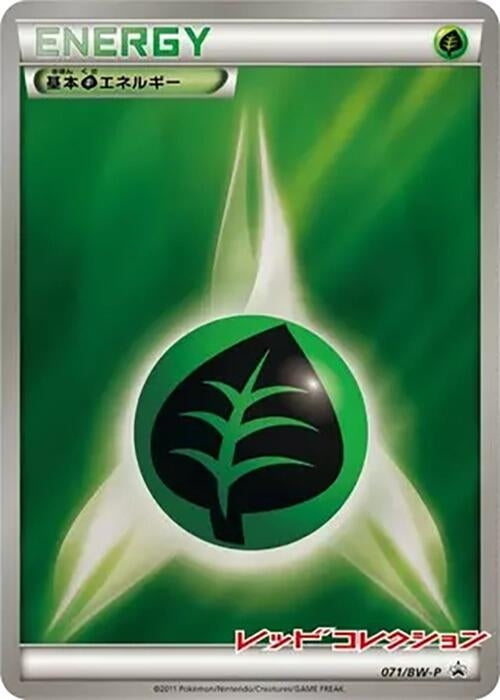 Image for Basic Grass Energy - 071/BW-P (071/BW-P) (BW-P Promotional cards) (BW-P) - Pokemon Japan