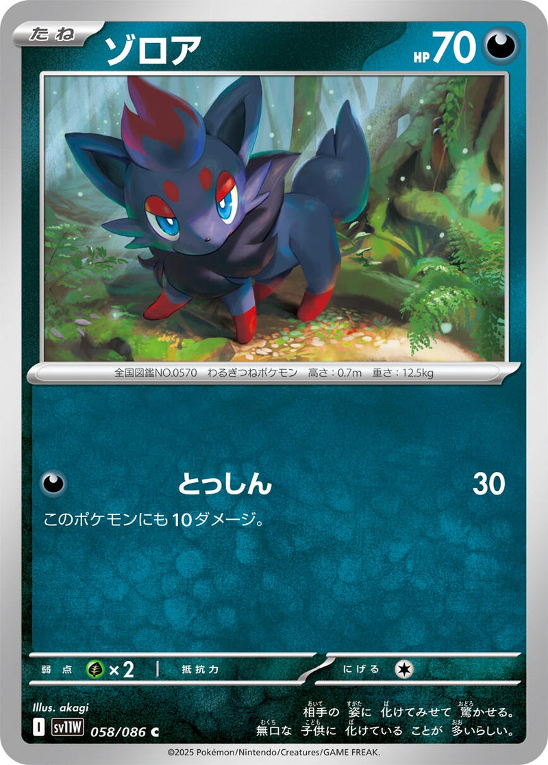 Image for Zorua (058/086) (SV11W: White Flare) (SV11W) - Pokemon Japan