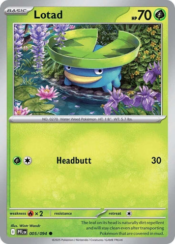 Image for Lotad (005/094) (ME02: Phantasmal Flames) - Pokemon