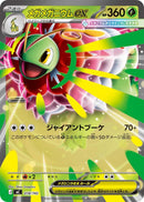 Image for Mega Meganium ex (018/742) (Start Deck 100 Battle Collection) - Pokemon Japan