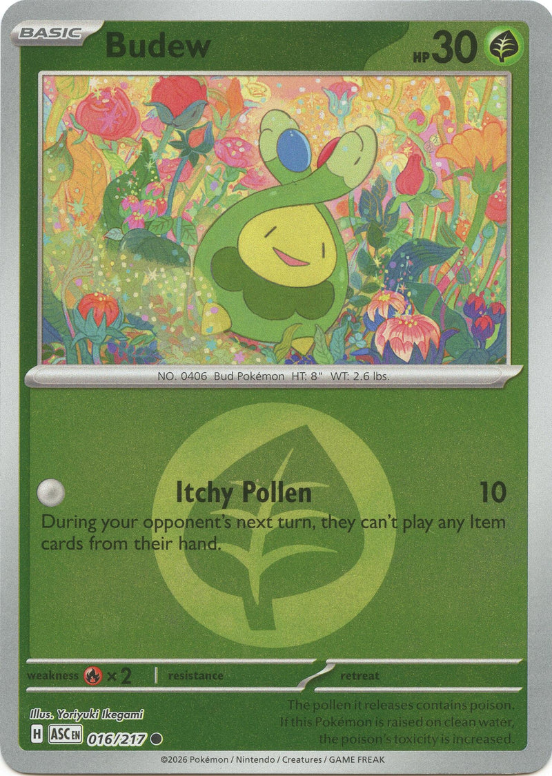 Image for Budew - 016/217 (Energy Symbol Pattern) (016/217) (ME: Ascended Heroes) - Pokemon