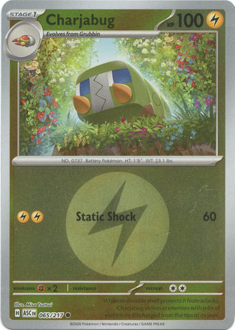 Image for Charjabug (Energy Symbol Pattern) (065/217) (ME: Ascended Heroes) - Pokemon