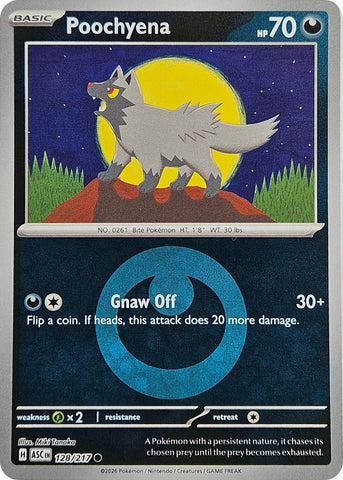 Image for Poochyena (Energy Symbol Pattern) (128/217) (ME: Ascended Heroes) - Pokemon