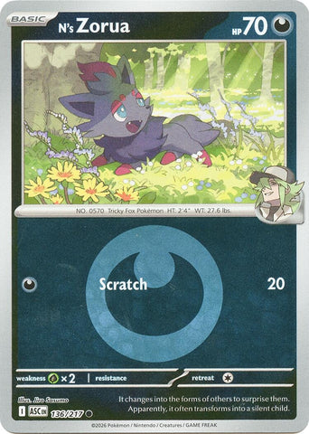 Image for N's Zorua (Energy Symbol Pattern) (136/217) (ME: Ascended Heroes) - Pokemon
