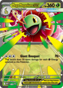 Image for Mega Meganium ex (034) (Jumbo Cards) (PR) - Pokemon