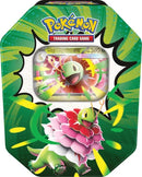 Image for Ascended Heroes Tin [Mega Meganium ex] - Pokemon