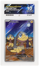 Helioptile - Mega Evolution - Illustration Rare - ACE 10 ACE Grading