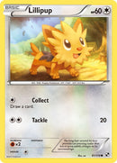 Image for Lillipup (81) (81/114) - Pokemon