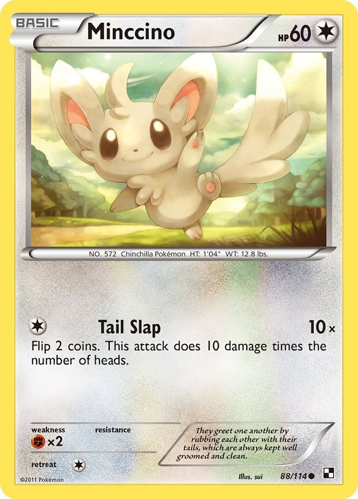Image for Minccino (88/114) - Pokemon