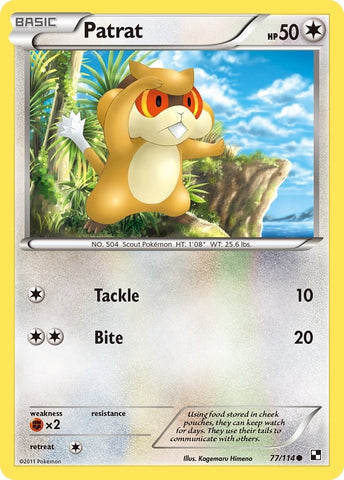 Image for Patrat (77) (77/114) - Pokemon