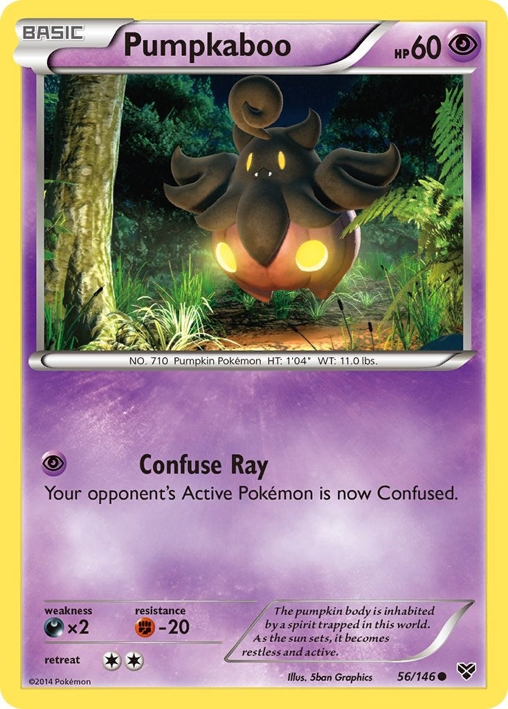 Image for Pumpkaboo (56/146) (XY Base Set) - Pokemon