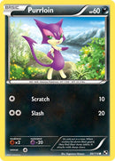 Image for Purrloin (66/114) - Pokemon