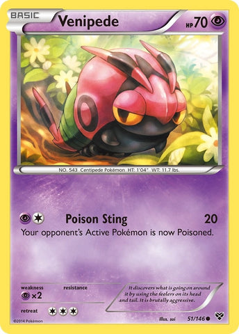 Image for Venipede (51/146) (XY Base Set) - Pokemon