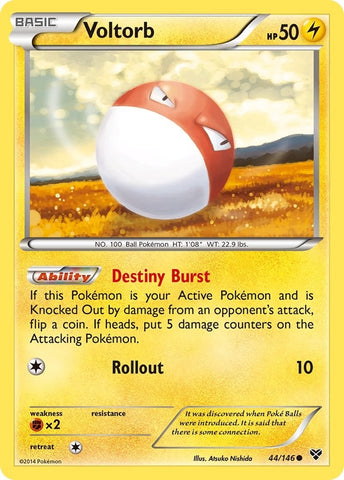 Image for Voltorb (44/146) (XY Base Set) - Pokemon