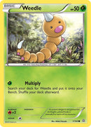 Image for Weedle (1/160) (XY - Primal Clash) - Pokemon