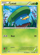 Image for Lotad (10/160) (XY - Primal Clash) - Pokemon