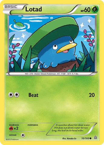 Image for Lotad (10/160) (XY - Primal Clash) - Pokemon