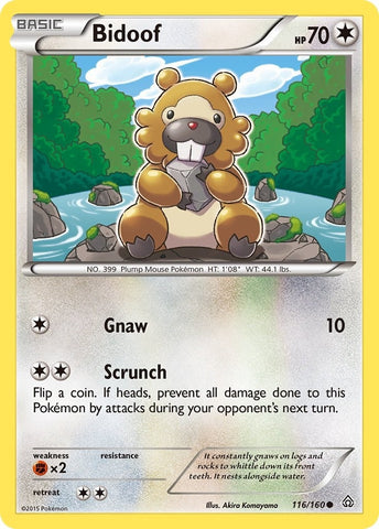 Image for Bidoof (116/160) (XY - Primal Clash) - Pokemon