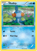 Mudkip - XY38 (XY38) (XY Promos) Pokemon