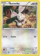 Image for Bunnelby (4/30) (XY Trainer Kit: Sylveon & Noivern) (PR) - Pokemon