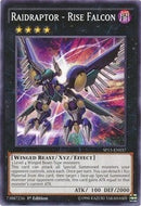 Raidraptor - Rise Falcon (SP15-EN037) (Star Pack ARC-V) YuGiOh