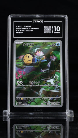 Tympole - Scarlet & Violet Japanese - TAG 10 GEM MINT Pokémon Single