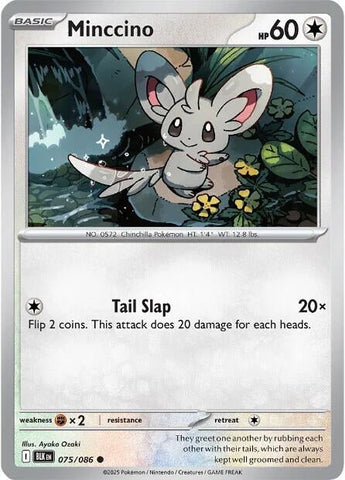 Image for Minccino (075/086) (SV: Black Bolt) - Pokemon