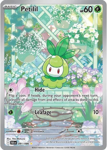 Image for Petilil (091/086) (SV: Black Bolt) - Pokemon