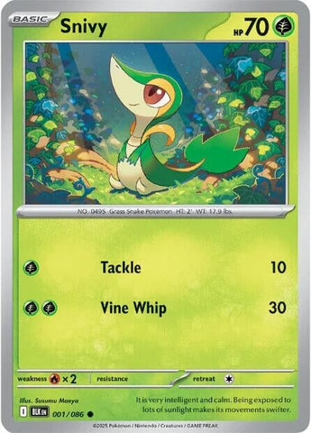 Image for Snivy (001/086) (SV: Black Bolt) - Pokemon