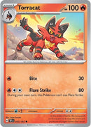 Image for Torracat (033/162) (SV05: Temporal Forces) - Pokemon
